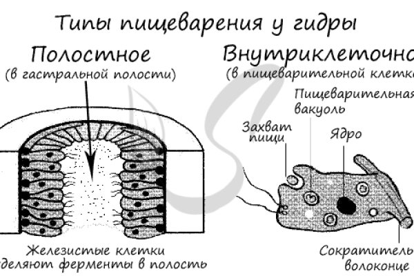 Омг даркмаркет